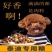 泰迪狗粮牛肉味幼成犬全期补钙美毛祛泪痕5斤10斤棕色泰迪