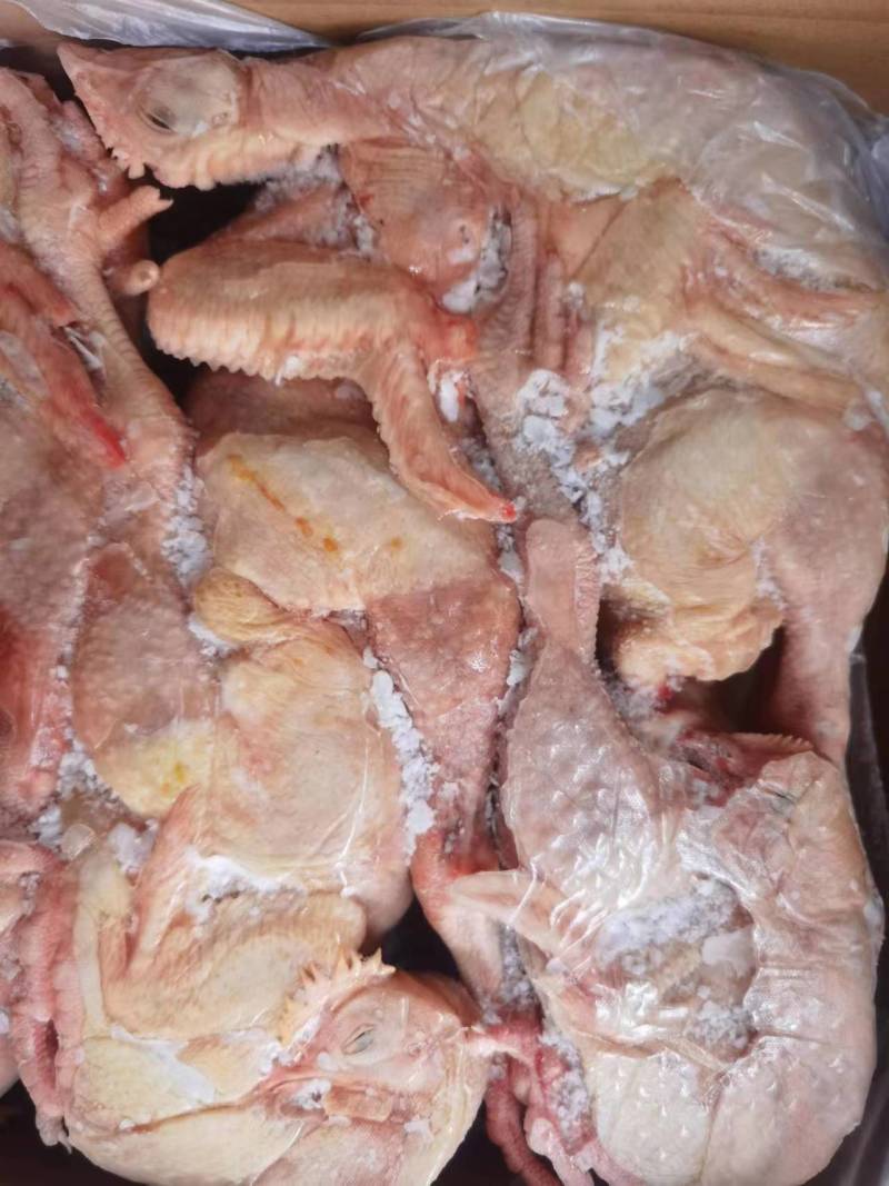一级三黄鸡7只