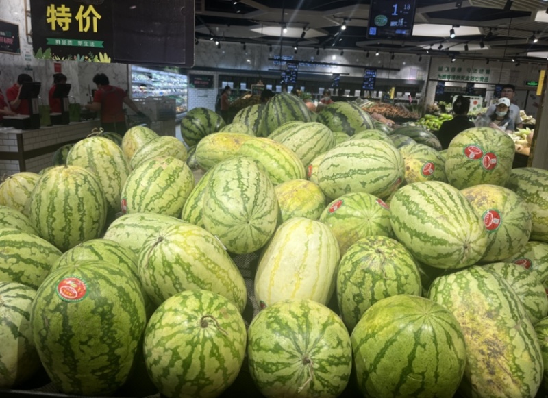 湖北襄阳石头瓜，货量足，品质好，可视频看货