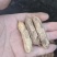 每天现采现发，只赚代办费，没任何差价，包洗干净，