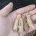 每天现采现发，只赚代办费，没任何差价，包洗干净，