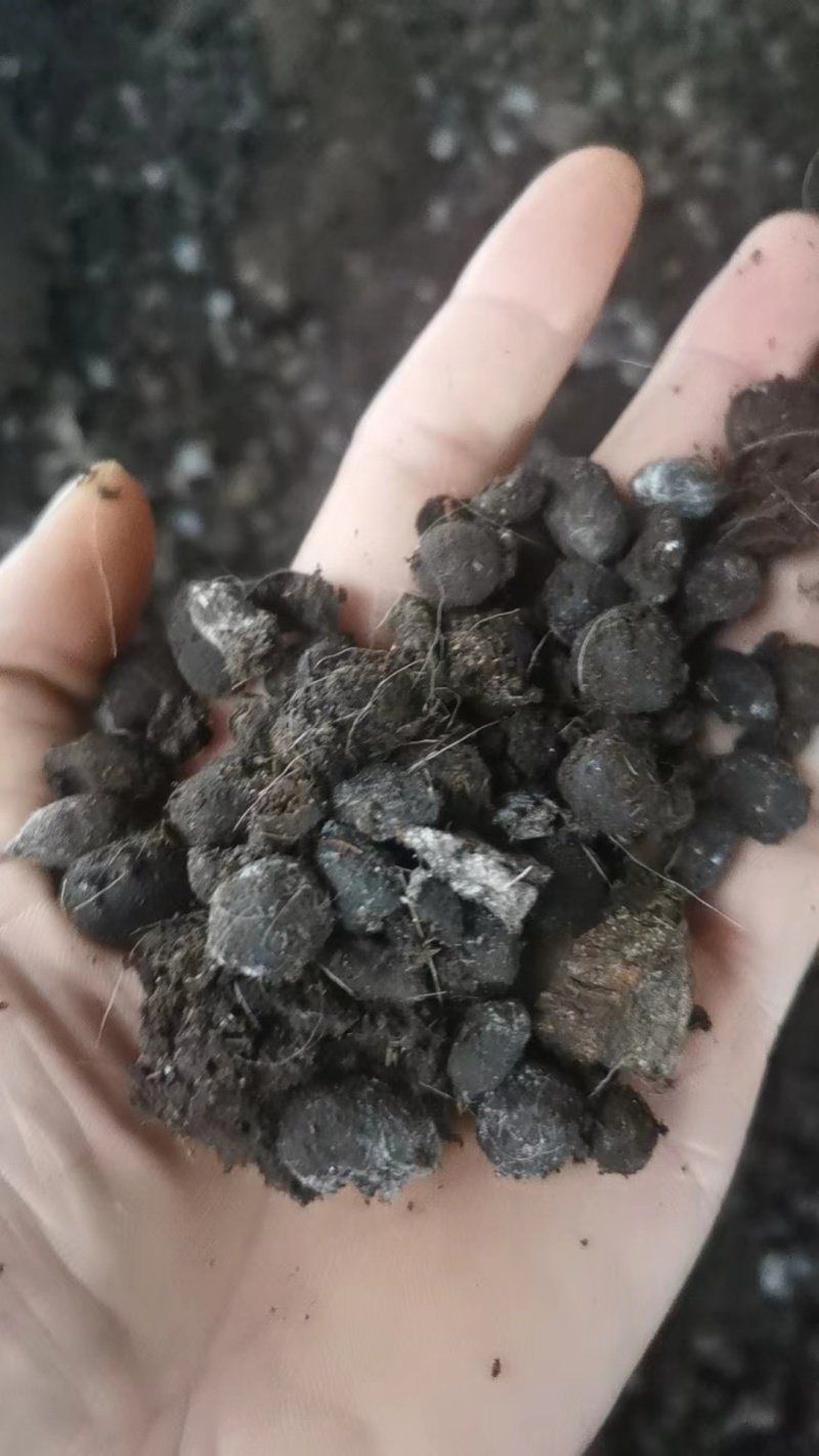 浙江羊粪有机肥，诚信经营，量大从优，欢迎各位老板咨询叨扰