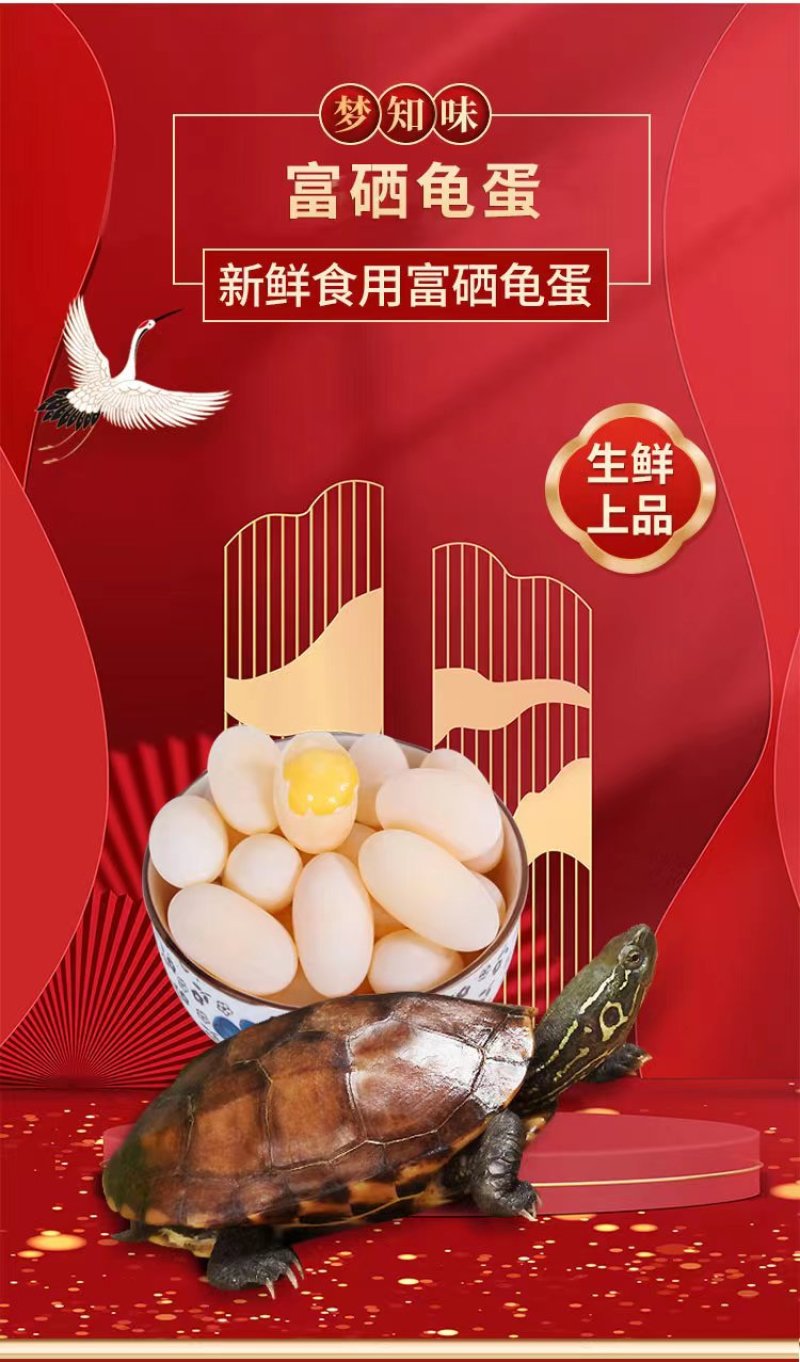 梦知味富硒龟蛋甲鱼蛋