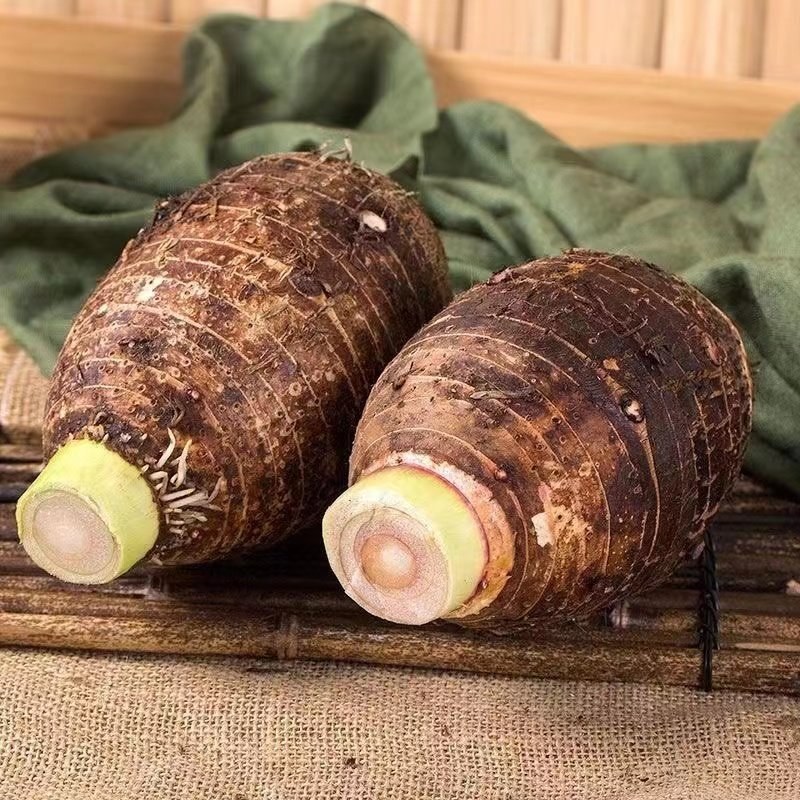 云南香芋头红芽芋头大白芋头大量供应，基地直发一件代发