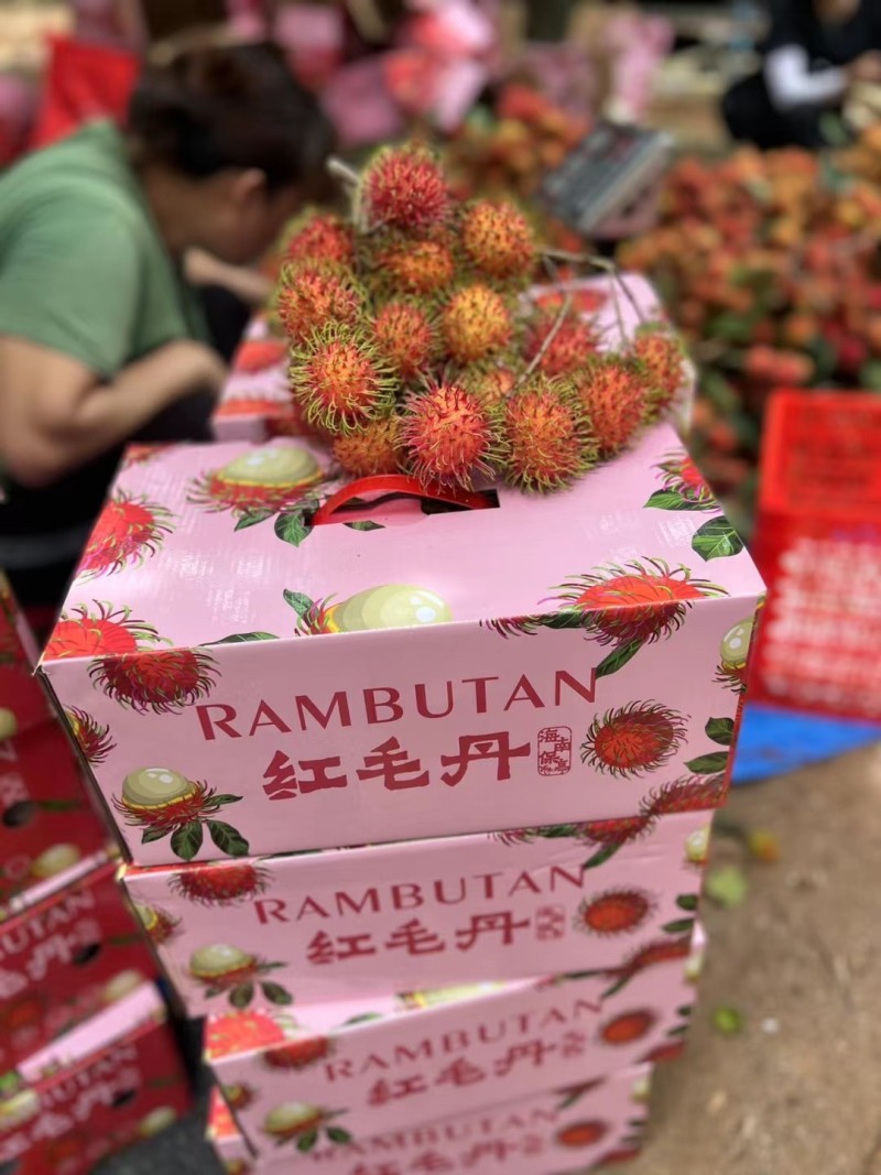 海南保亭红毛丹一件代发顺丰空运包邮