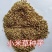 小米草种子养殖专用水草种子鱼虾蟹牧草种子高产耐水淹耐高温
