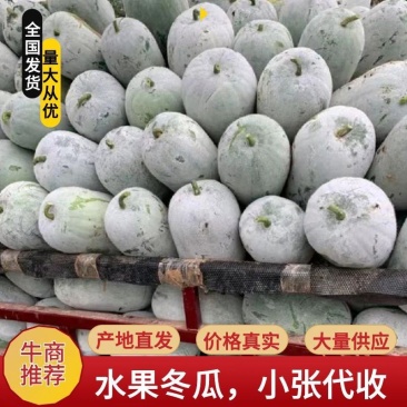水果冬瓜，电商专用，一手货源，个头匀称，价格合理量大价优