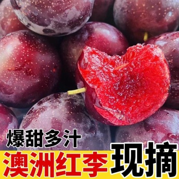 澳洲红李子产地大量供应中，对接电商一件代发，社区团购商超