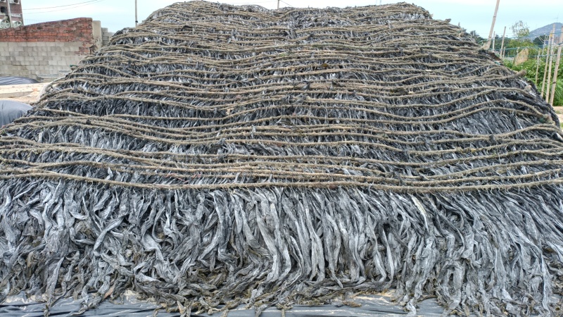 地摊海带挂晒无沙干海带商用超市海带干跑货郎摆摊散装