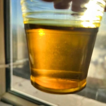 油菜籽