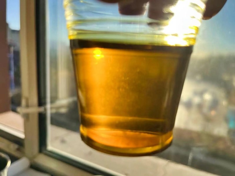 油菜籽