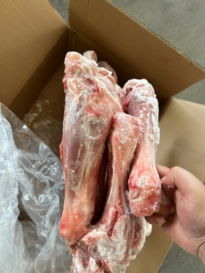 羊小腿价格合适电商社区团购供应需要的老板联系