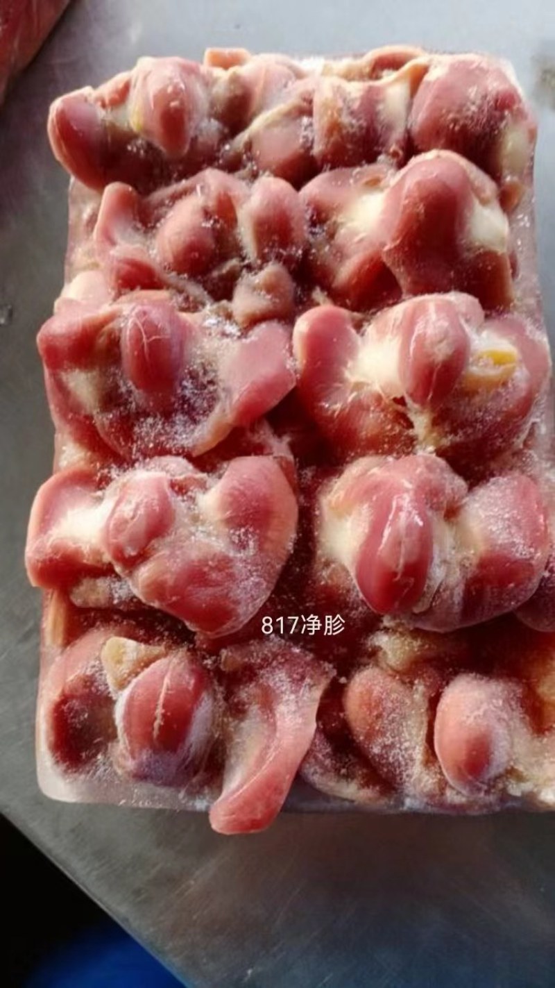 817鸡胗（带肚无肚）单冻板冻