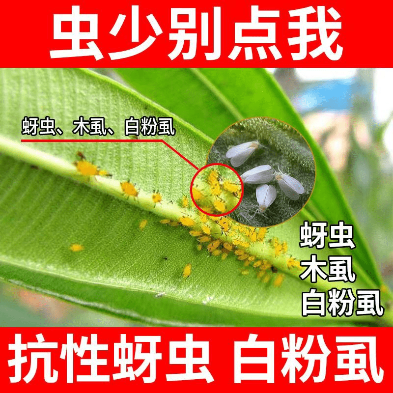 抗性蚜虫专用农用助剂蚜虫高活性正品杀虫抑卵桃蚜棉蚜黄蚜