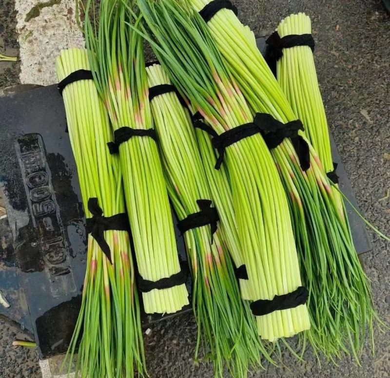 红帽蒜薹，江苏邳州产地直发对接电商商超量大从优，欢迎咨询