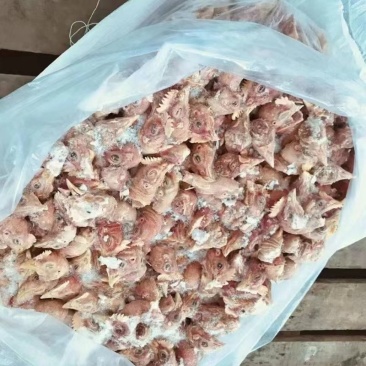 鸡头（大肉食鸡头头脖）纯干货，一手货源