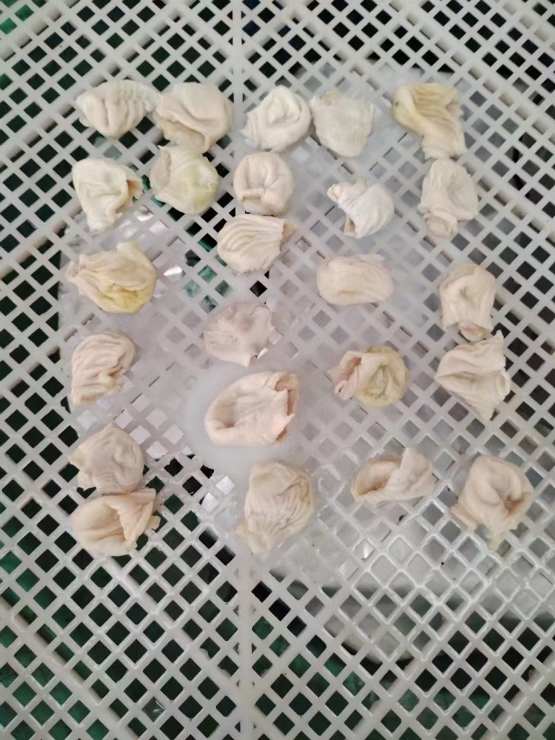 鸡嗉皮（蛋鸡817大肉食）长肚/圆肚，八成熟
