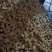 【推荐】油豆腐一手货源商超品质供应市场商超量大价优