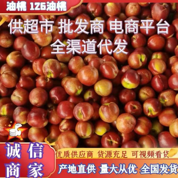 山东临沂大棚油桃红油桃中油4号大量供货价格便宜咨询