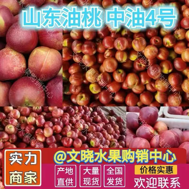 【红油桃】山东油桃大棚油桃品种多规格齐全代发全国市场