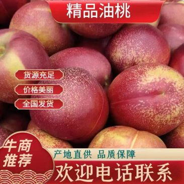《诚信老店》中油4号油桃大量有货产地现摘现发一条龙