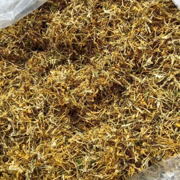 贵州金银花，精品开花，新货上市，欢迎新老客户订购