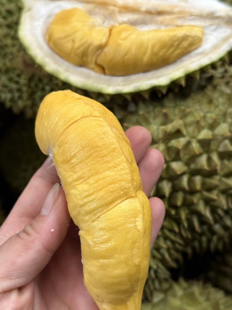 泰国猫山王D197巴掌榴莲A果非金枕托曼尼干荛榴莲