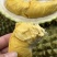 泰国猫山王D197巴掌榴莲A果非金枕托曼尼干荛榴莲