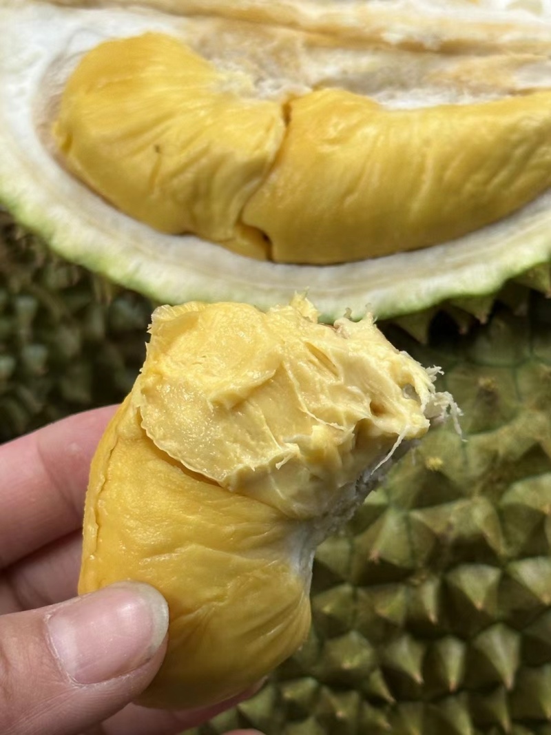 泰国猫山王D197巴掌榴莲A果非金枕托曼尼干荛榴莲