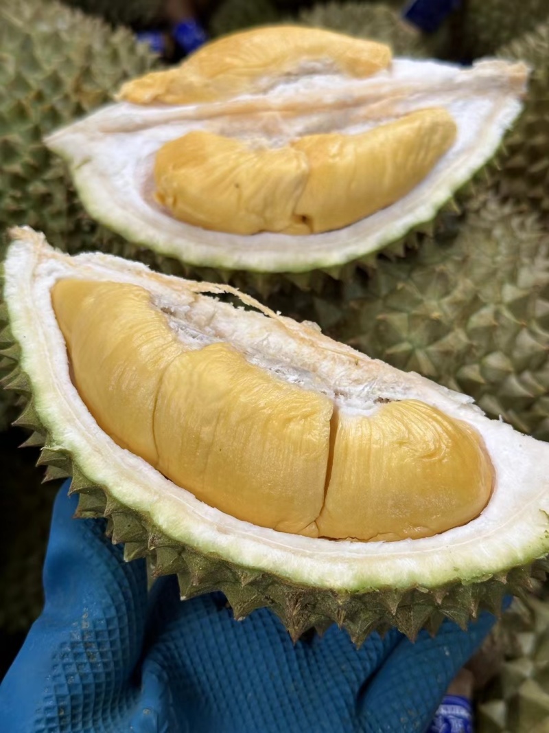 泰国猫山王D197巴掌榴莲A果非金枕托曼尼干荛榴莲
