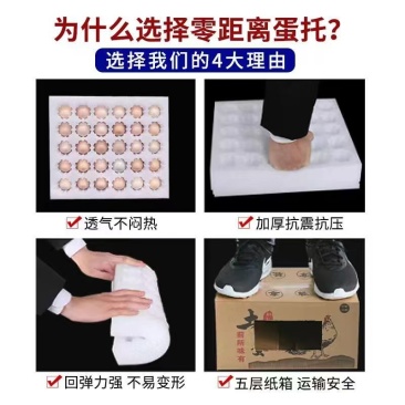 珍珠棉包装鸡蛋托盘水果托盘各种规格可定制