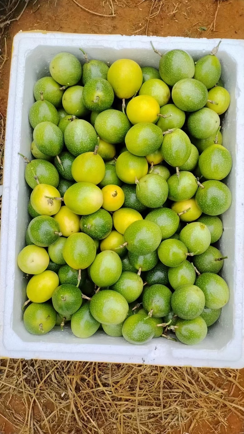 黄心百香果，需要的赶紧联系
