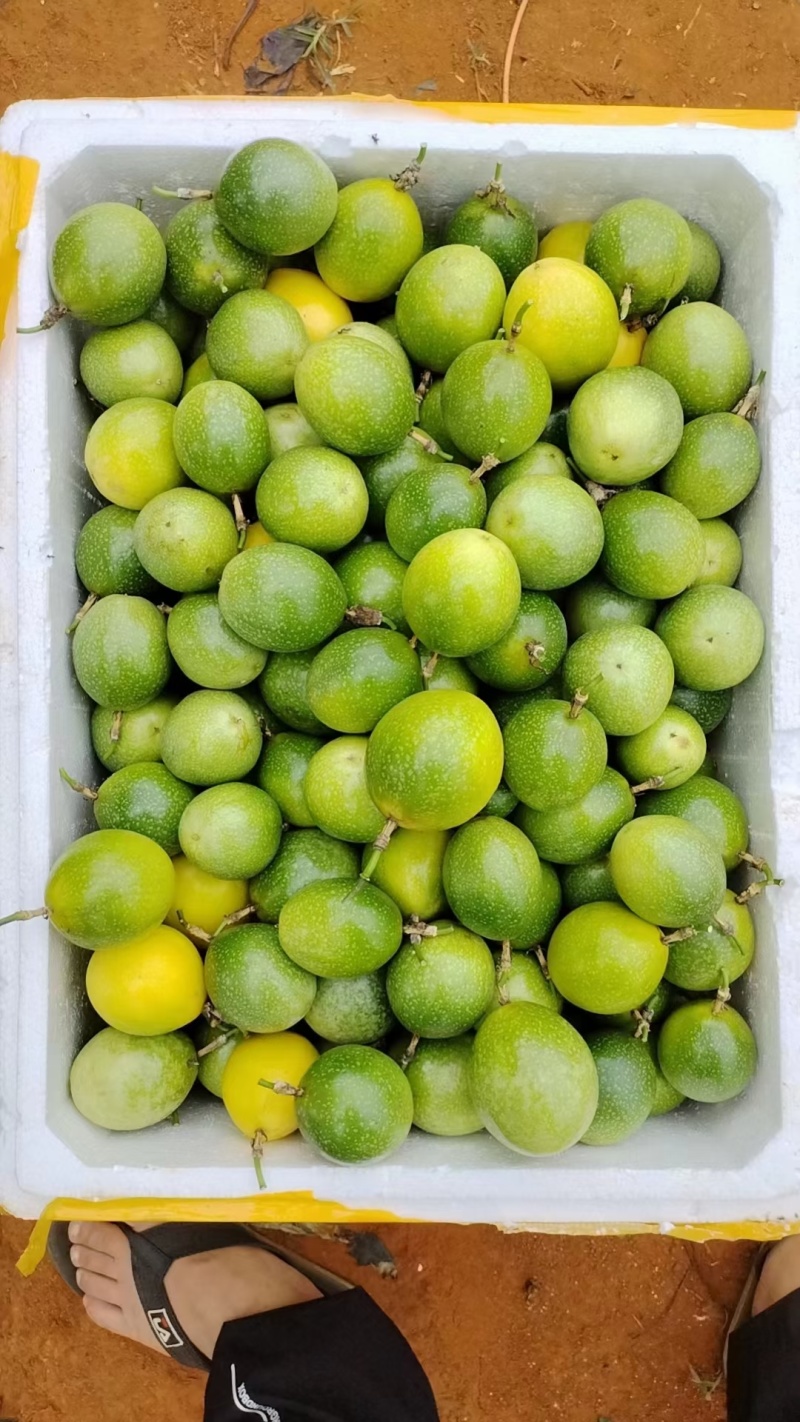 黄心百香果，需要的赶紧联系