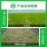 叁门炮-30%甲霜·噁霉灵根腐病传导性杀菌剂