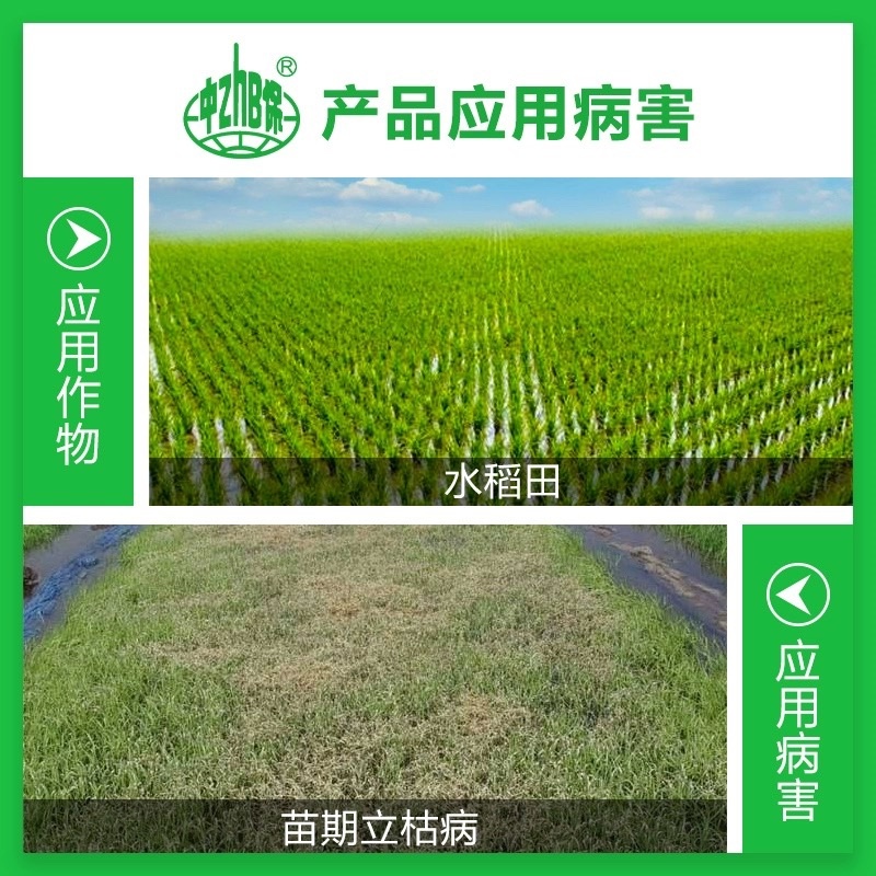 叁门炮-30%甲霜·噁霉灵根腐病传导性杀菌剂