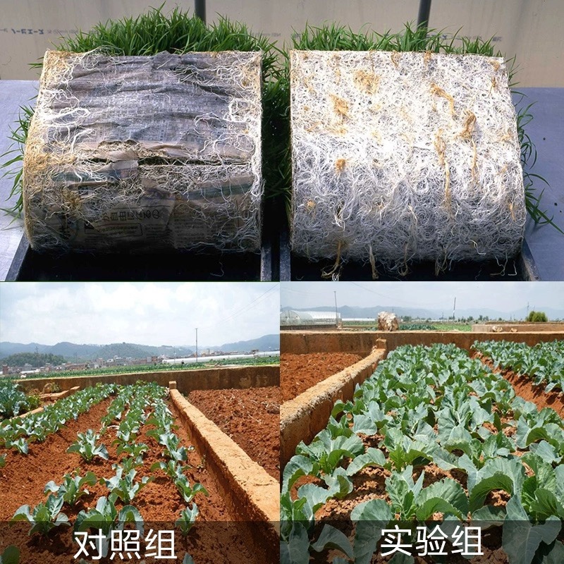叁门炮-30%甲霜·噁霉灵根腐病传导性杀菌剂