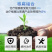 叁门炮-30%甲霜·噁霉灵根腐病传导性杀菌剂