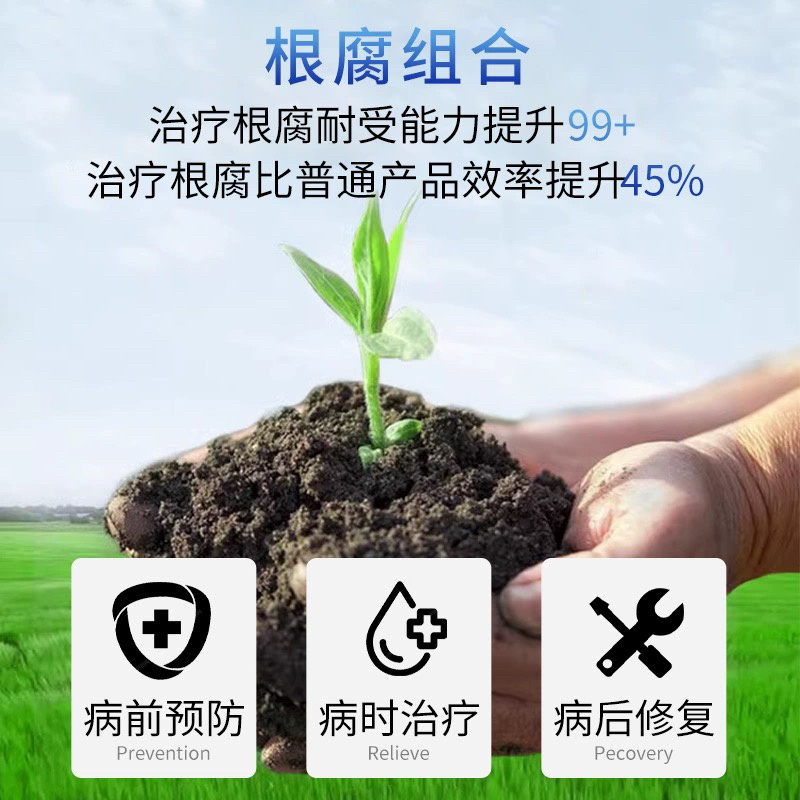 叁门炮-30%甲霜·噁霉灵根腐病传导性杀菌剂