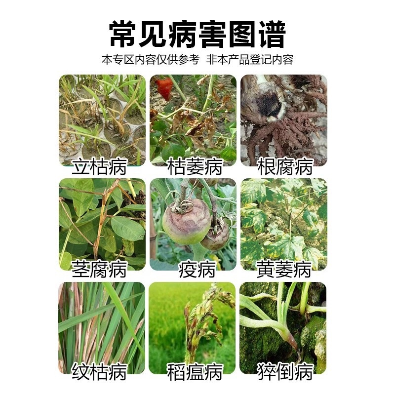 邦赛克-30%甲霜噁霉灵内吸传导性杀菌剂