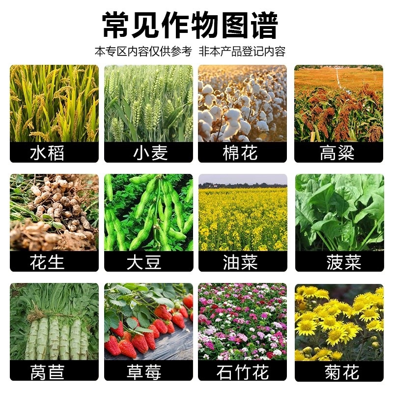 邦赛克-30%甲霜噁霉灵内吸传导性杀菌剂