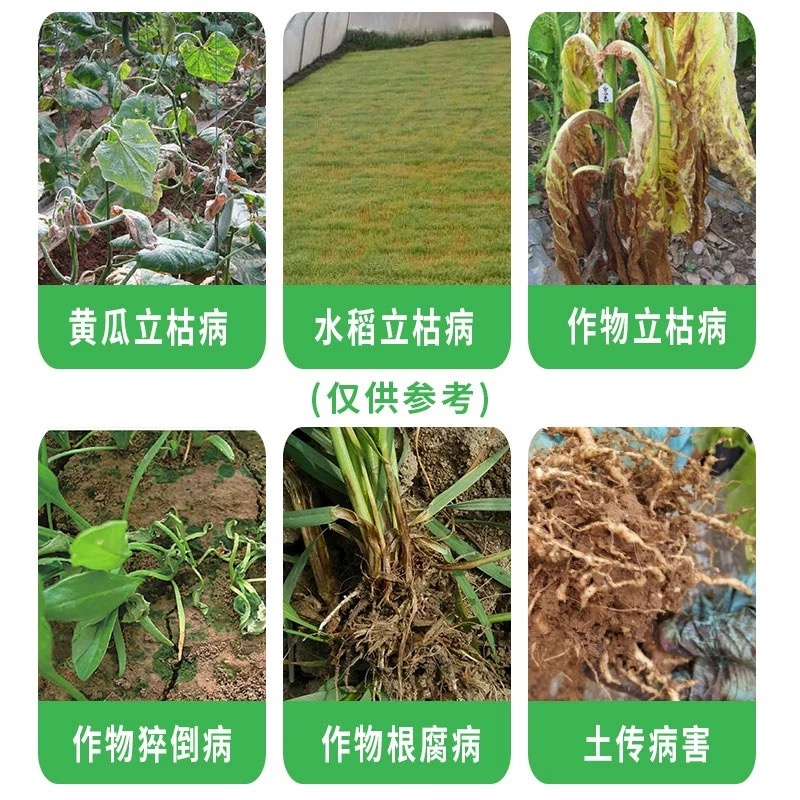 钜清-30%甲霜·噁霉灵土传病作物立枯病杀菌剂