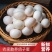 鸽子蛋新鲜
