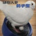 鸽子蛋新鲜