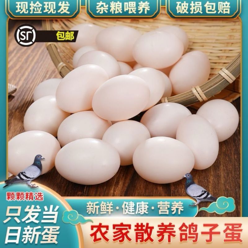 鸽子蛋新鲜