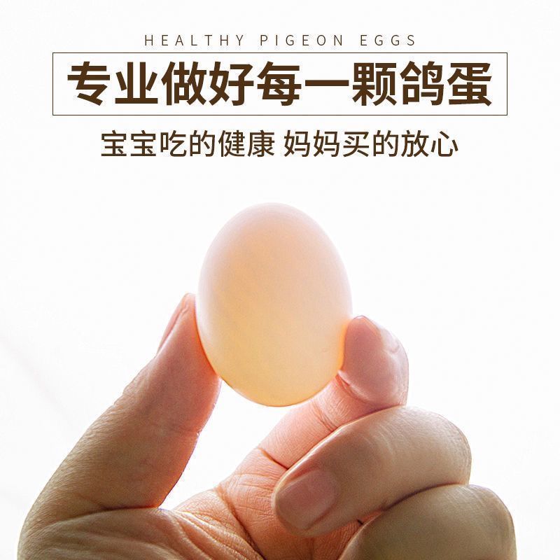 鸽子蛋新鲜