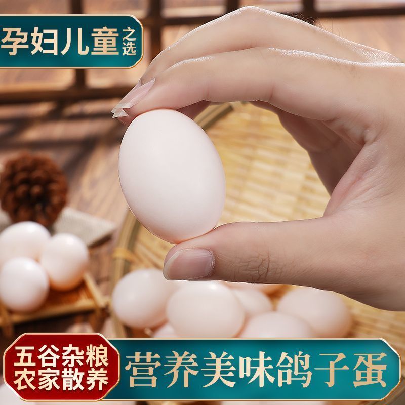 鸽子蛋新鲜
