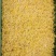 绿豆芽供应市场商超保质保量一手货源量大价优