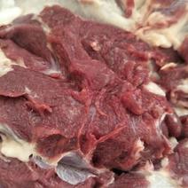 精品黑猪肉山东大量供应，无公害，养殖基地直发，肉质鲜嫩