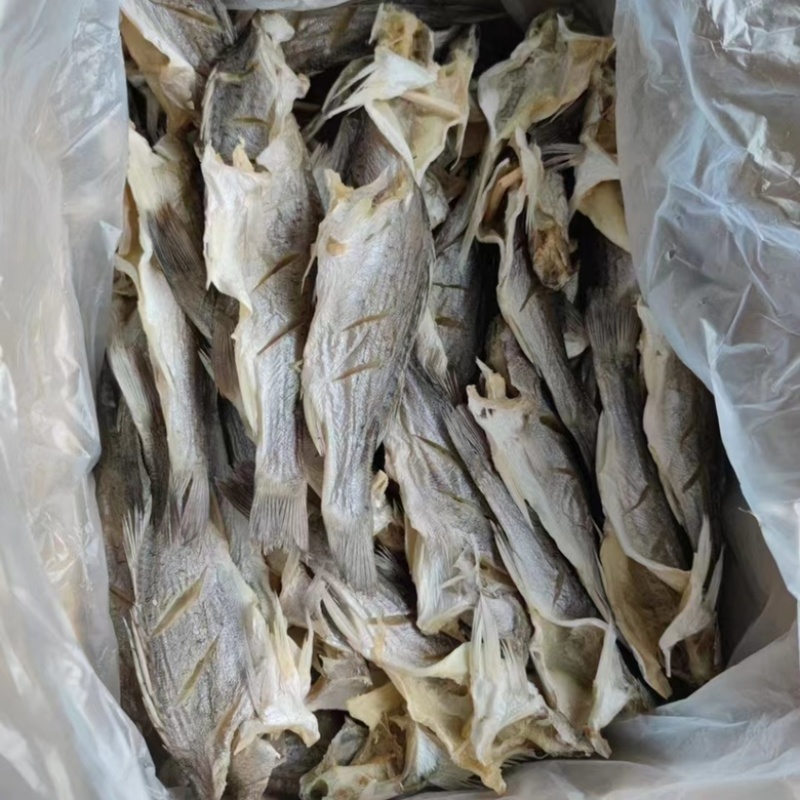 海鲈鱼干展会地摊电商无头海鲈鱼干干鲈鱼片