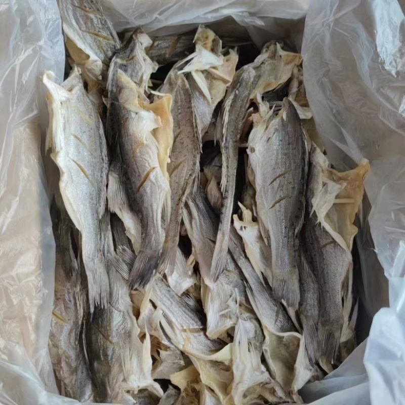 海鲈鱼干展会地摊电商无头海鲈鱼干干鲈鱼